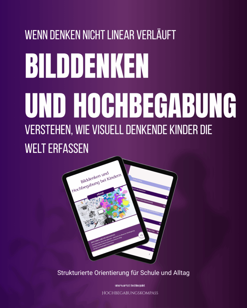 Bilddenken Ebook